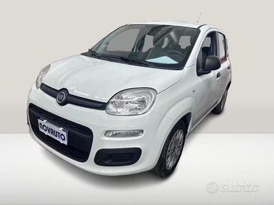 Usata Fiat Panda Easy 69 CV (50 kW) 2019 Bianco Utilitaria