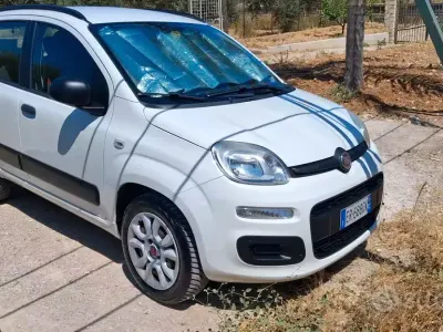 Usata Fiat Panda Easy 80 CV (58 kW) 2013 Bianco Utilitaria