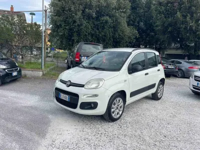 Usata Fiat Panda 80 CV (58 kW) 2013 Bianco Utilitaria