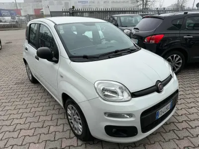 Usata Fiat Panda 69 CV (50 kW) 2016 Bianco Utilitaria