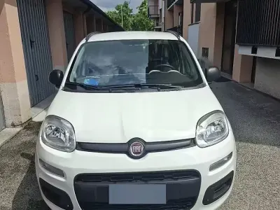 Usata Fiat Panda 69 CV (50 kW) 2014 Bianco Utilitaria
