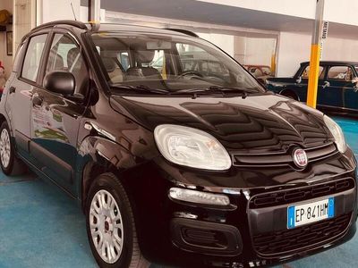 usata Fiat Panda -