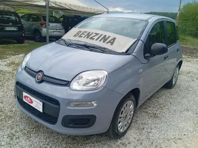 Usata Fiat Panda Easy 69 CV (50 kW) 2018 Grigio Utilitaria