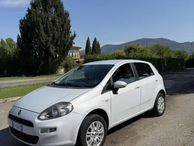 Usata Fiat Punto Evo Active 69 CV (50 kW) 2013 Other Utilitaria