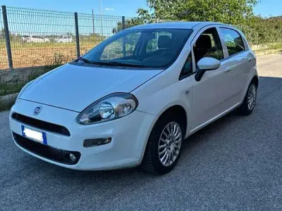 Usata Fiat Punto Street 75 CV (55 kW) 2015 Utilitaria