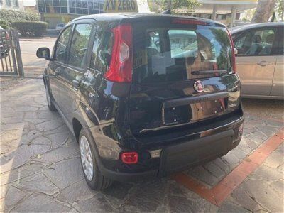 usata Fiat Panda Cross 1.0 FireFly S&S Hybrid City nuovo