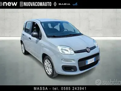 Usata Fiat Panda Easy 69 CV (50 kW) 2019 Grigio Utilitaria