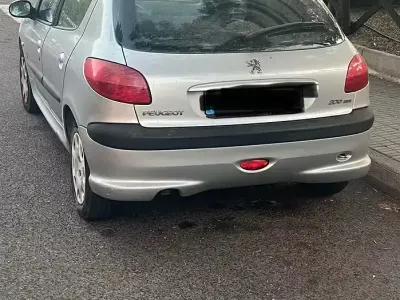 Usata Peugeot 206