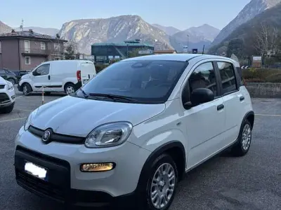Usata Fiat Panda Icon 69 CV (50 kW) 2025 Utilitaria