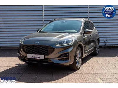 Usata Ford Kuga ST-Line X 225 CV (165 kW) 2023 Grigio SUV