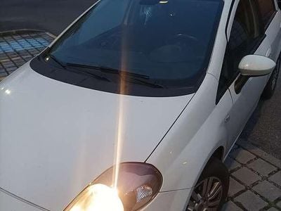 Usata Fiat Punto Lounge 77 CV (56 kW) 2013 Bianco Utilitaria