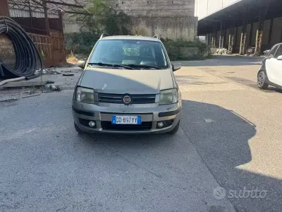 Usata Fiat Panda Dynamic 60 CV (44 kW) 2006 Marrone Utilitaria