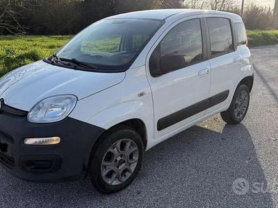 Usata Fiat Panda 4x4 80 CV (58 kW) 2016 Bianco Utilitaria