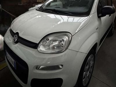 Usata Fiat Panda City Life 71 CV (52 kW) 2020 Bianco Utilitaria
