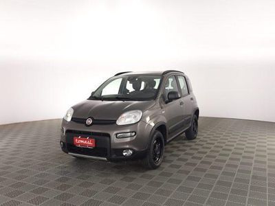 Usata Fiat Panda 4x4 Wild 85 CV (62 kW) 2021 Grigio Utilitaria