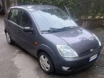 Usata Ford Fiesta Ambiente 75 CV (55 kW) 2003 Grigio Utilitaria