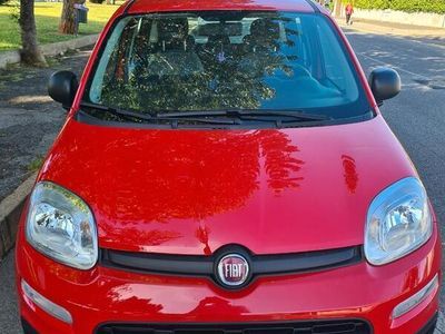 usata Fiat Panda PandaIII 2021 1.0 firefly hybrid City Life s