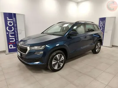 Usata Skoda Karoq