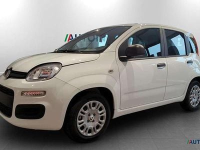 Nuova Fiat Panda Icon 69 CV (50 kW) 2026 Bianco gelato Utilitaria
