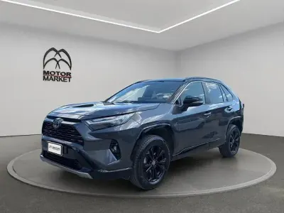 Usata Toyota RAV4 Hybrid