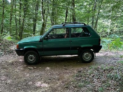 Usata Fiat Panda 4x4 Trekking 54 CV (39 kW) 2002 Utilitaria