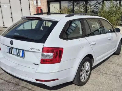 Usata Skoda Octavia