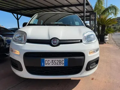 Usata Fiat Panda City Life 70 CV (51 kW) 2022 Bianco Utilitaria