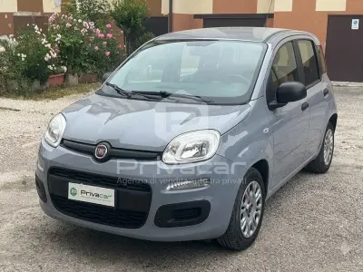 Usata Fiat Panda S 70 CV (51 kW) 2021 Grigio Utilitaria