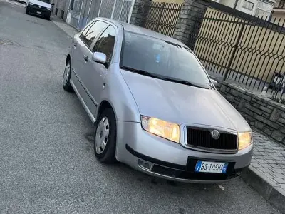 Usata Skoda Fabia