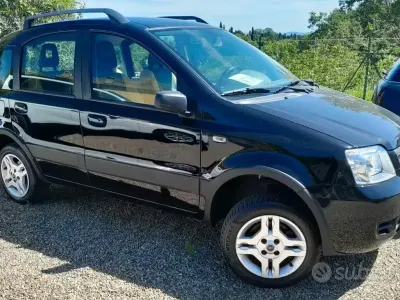 Usado Fiat Panda 4x4 Climbing 69 CV (50 kW) 2006 Utilitario