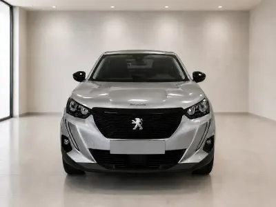 Usata Peugeot 2008 Active 100 CV (73 kW) 2024 Grigio SUV