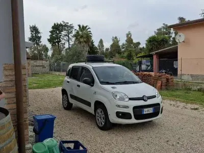 Usata Fiat Panda 4x4 S 86 CV (63 kW) 2019 Utilitaria