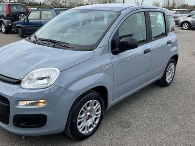 usata Fiat Panda 1.2 Easy 69cv E6