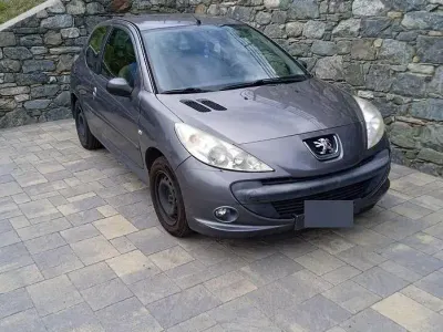 Usata Peugeot 206