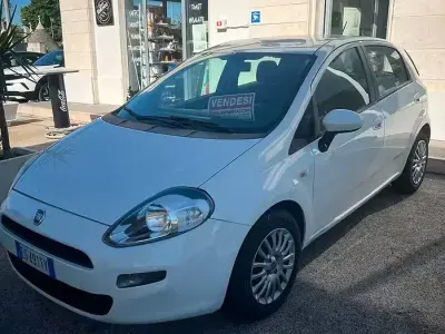 Usata Fiat Punto Lounge 85 CV (62 kW) 2013 Bianco Utilitaria