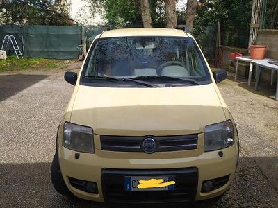 Usata Fiat Panda 4x4 Climbing 2005 Utilitaria