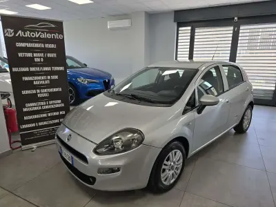 Usata Fiat Punto Young 77 CV (56 kW) 2016 Grigio Utilitaria