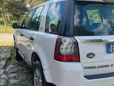 Usata Land Rover Freelander 2 150 CV (110 kW) 2012 Bianco SUV
