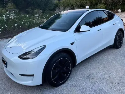 Usata Tesla Model Y
