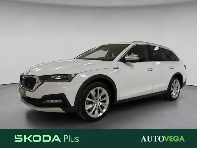 Usata Skoda Octavia Scout 4x4 150 CV (110 kW) 2023 Bianco / pastello Station wagon