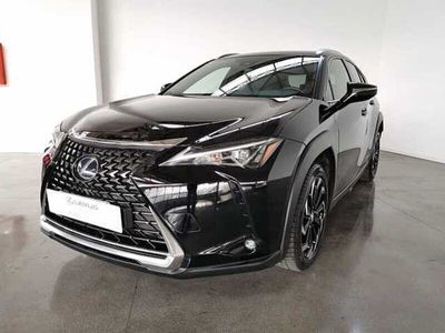 usata Lexus UX 300h 2.0 F-Design 2wd cvt del 2019 usata a San Giovanni Teatino