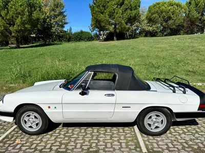 Alfa Romeo Spider