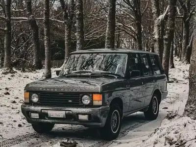 Usata Land Rover Range Rover Classic Vogue 173 CV (127 kW) 1993 Grigio Station wagon