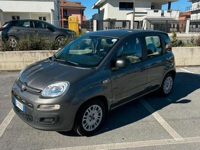 usata Fiat Panda 3ª serie Hybrid 5 POSTI - 2021