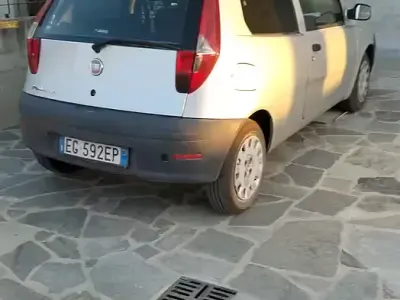 Usata Fiat Punto 69 CV (50 kW) 2011 Utilitaria