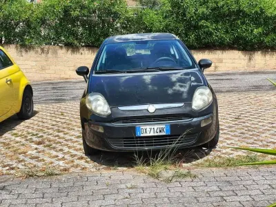 Usata Fiat Punto Evo