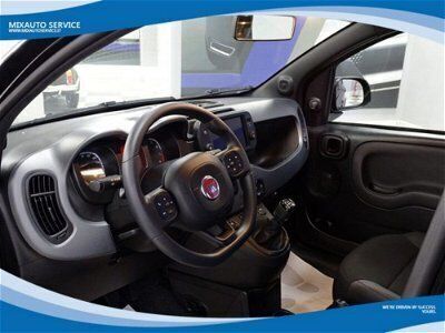 usata Fiat Panda Cross 1.0 FireFly S&S Hybrid City usato