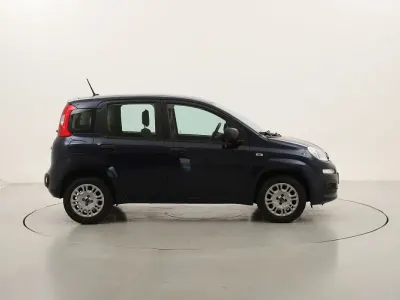 Usata Fiat Panda Easy 69 CV (50 kW) 2021 Blublu Utilitaria