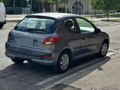 Usata Peugeot 206