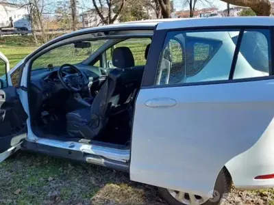 Usata Ford B-MAX